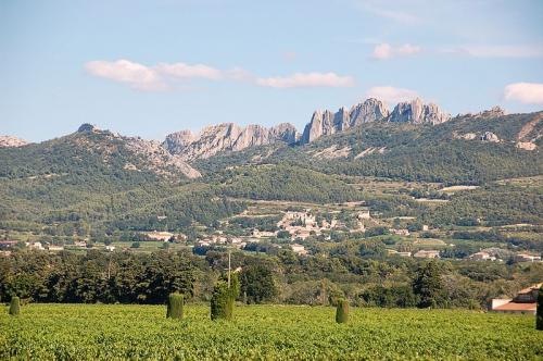 Les dentelles de Montmirail  (Vaucluse)