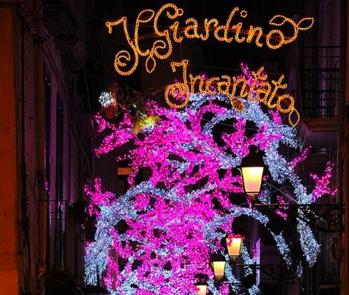 Le jardin de lumière