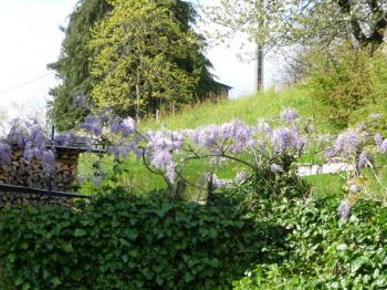 Pâques à la campagne ! 
