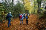La randonnée du 21 novembre à Beaumont-en-Auge