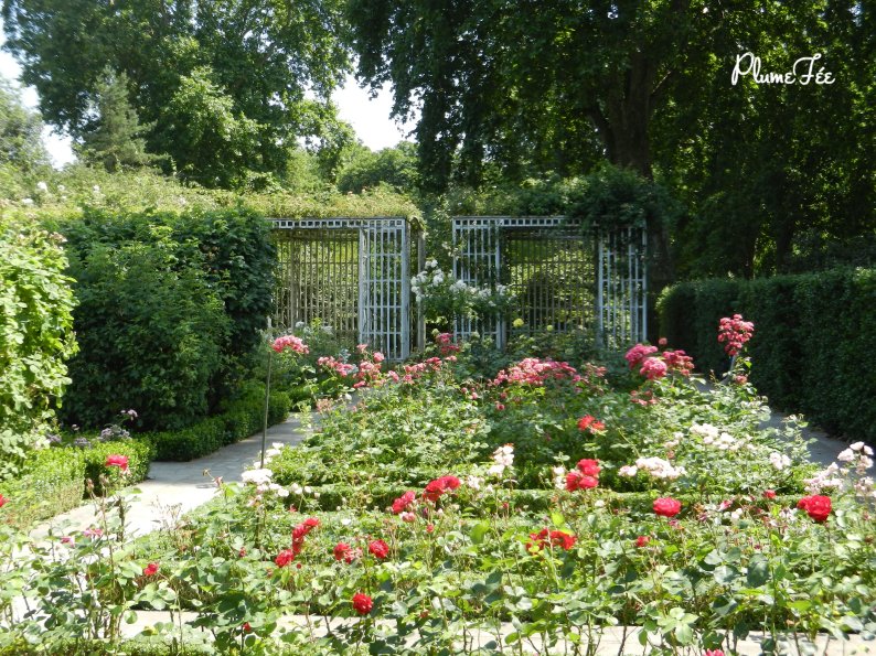 Image040.jpg