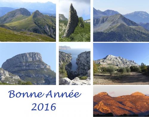 Bonne année 2016
