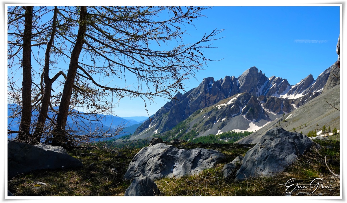 Retour au Col des Champs