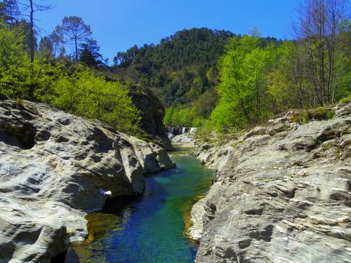 Les Cevennes