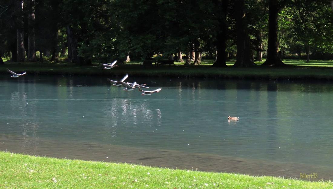 Vizille le château -2