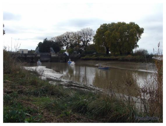 Canal de la Martinière à la Martinière 