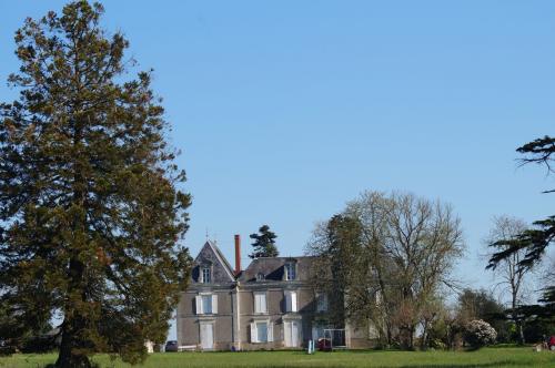 Saint Aubin de Luigné (fin du circuit)