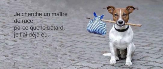 Petite annonce....