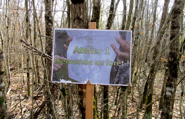 "Vis ma vie de forestier"