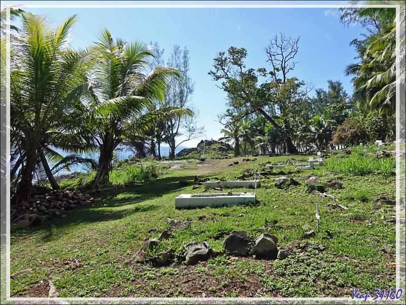 Départ pour une marche dans la forêt, impénétrable hors sentier, vers la Pointe Ramasse-tout et la plage d'Anse Cimetière - Ile Silhouette - Seychelles
