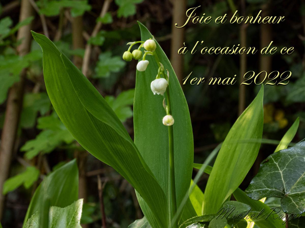 Bon 1er mai