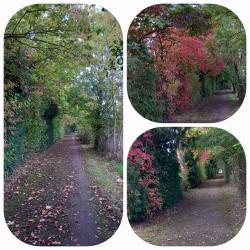 La balade du 15 octobre à Bretteville-sur-Odon