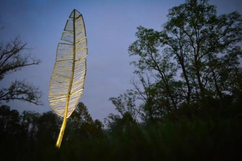 Olga Ziemska, l'art de la terre