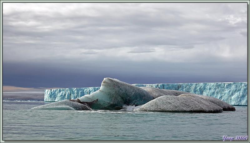 Iceberg et front du glacier - Bethune Inlet - Devon Island - Nunavut - Canada