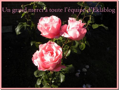 Merci à toute l'équipe d'eklablog