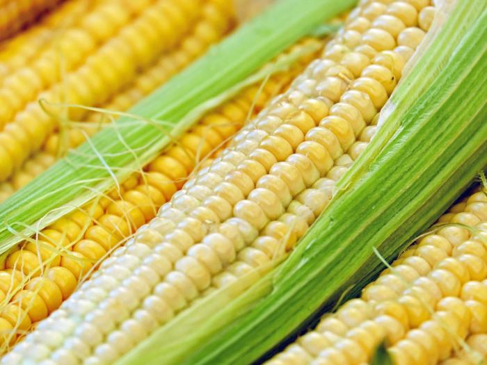 Légumes du mois de Juillet