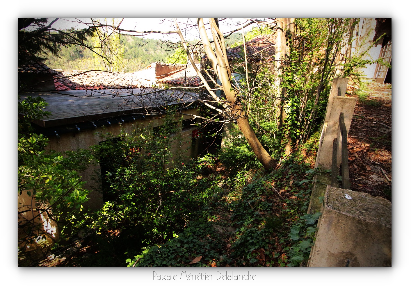 Urbex en Cévennes, Gard (2/3) - Le restaurant et son salon.