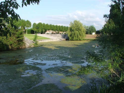 DSCF3624.JPG