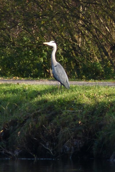 Soleil, couleurs, ne nous quittez pas !