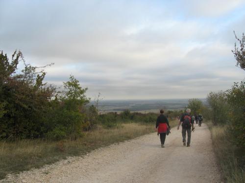 "Couchey TO" - Mercredi 24 octobre 2018