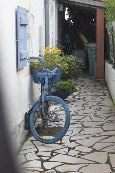 2 Mornac sur Seudre (6)