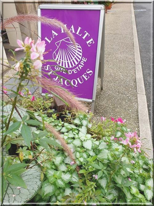 956 - Espalion en Aveyron (12)
