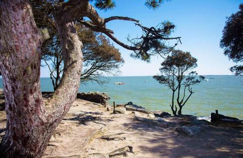 Ile de Noirmoutier  ( Vendée )
