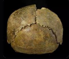 2 - Pléistocène moyen (-780 ka ) : les humains d'avant Néandertal