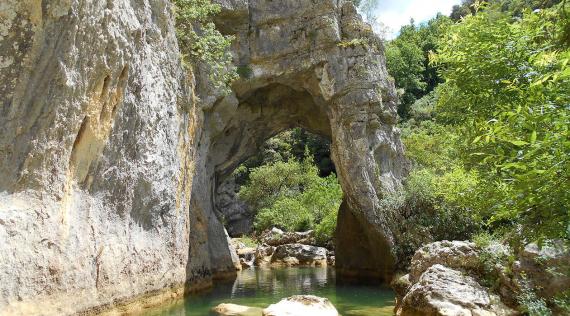 ღ꧁ღ╭⊱  Département 34  ꕥ⊱╮ღ꧂ღ