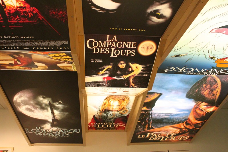 769 - Une histoire de Loup !