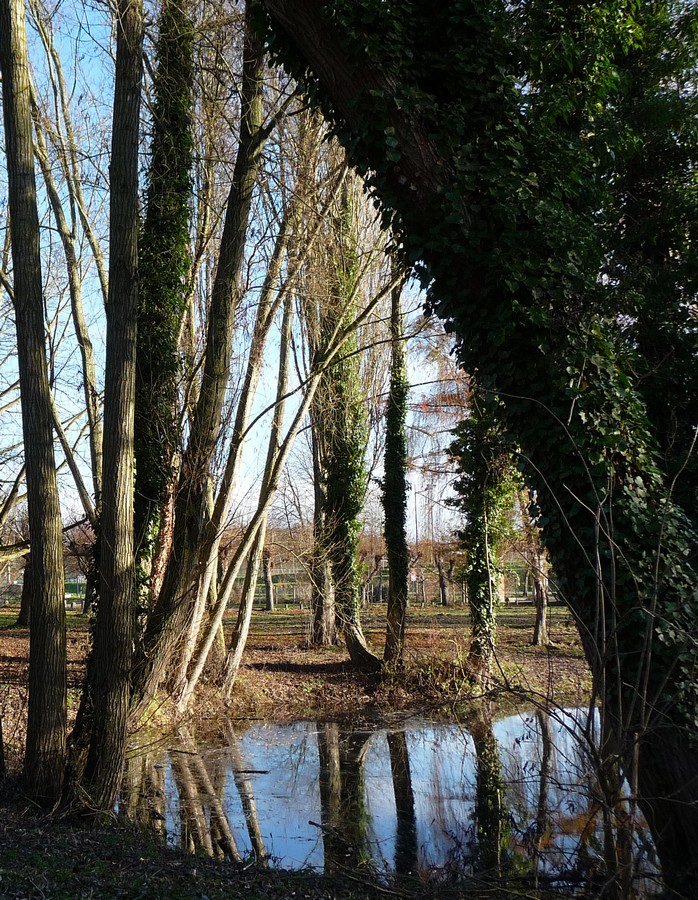 Un temps à photos !