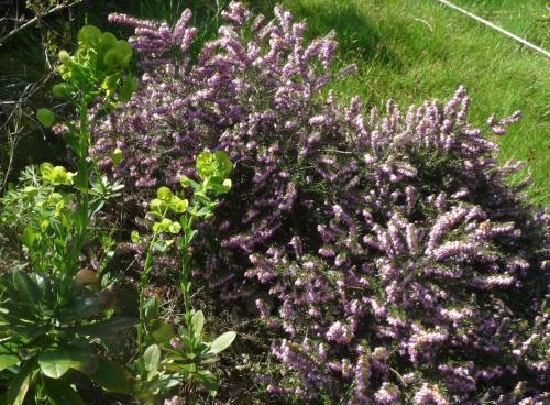 Le printemps 2019 est installé