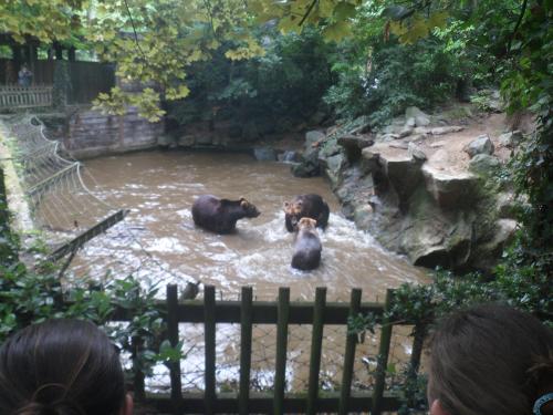 LA FLECHE -le Zoo