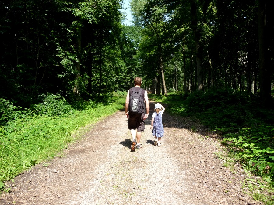 A l'ombre de la Forêt Domaniale de Creuse