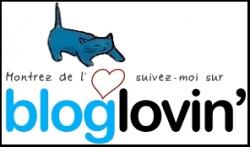 Suivre ce blog sur Bloglovin'
