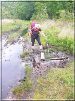 919 - Suite20 : -Notre Chemin vers St Jacques de Compostelle à travers ses anecdotes-