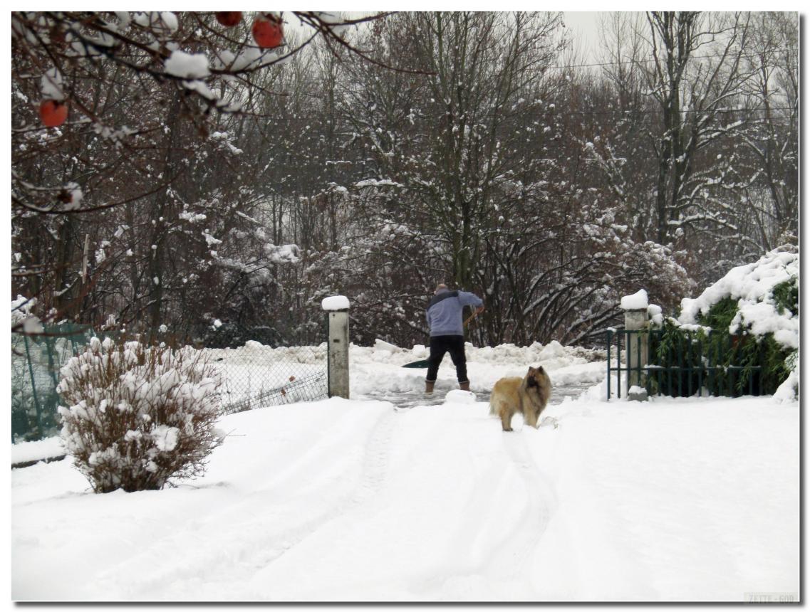 LE 13-01-2021 IL NEIGE 