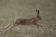 Graphisme n°7 - Les ponts (MS-GS)