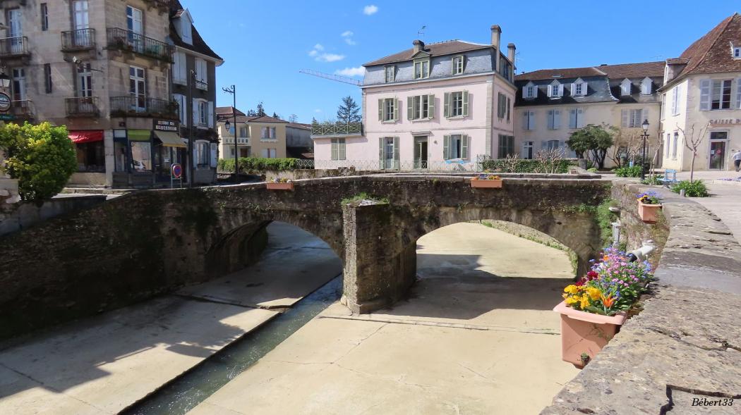 Salie du Béarn