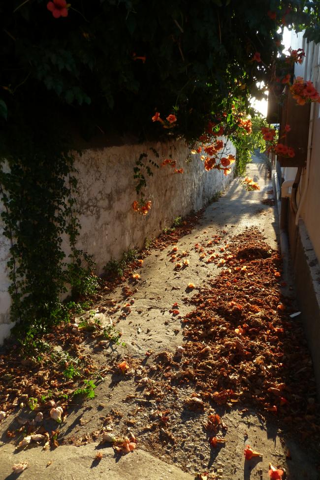 Patmos : vues de Skala
