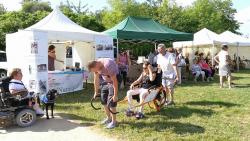 Festival du Printemps à Verrières en Anjou 03/06/18