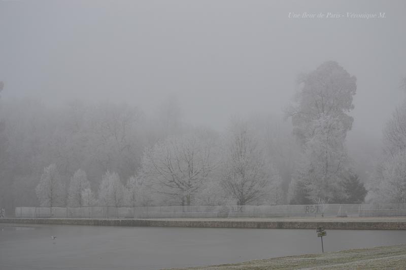 Pollution : de la neige "industrielle" blanchit certaines régions