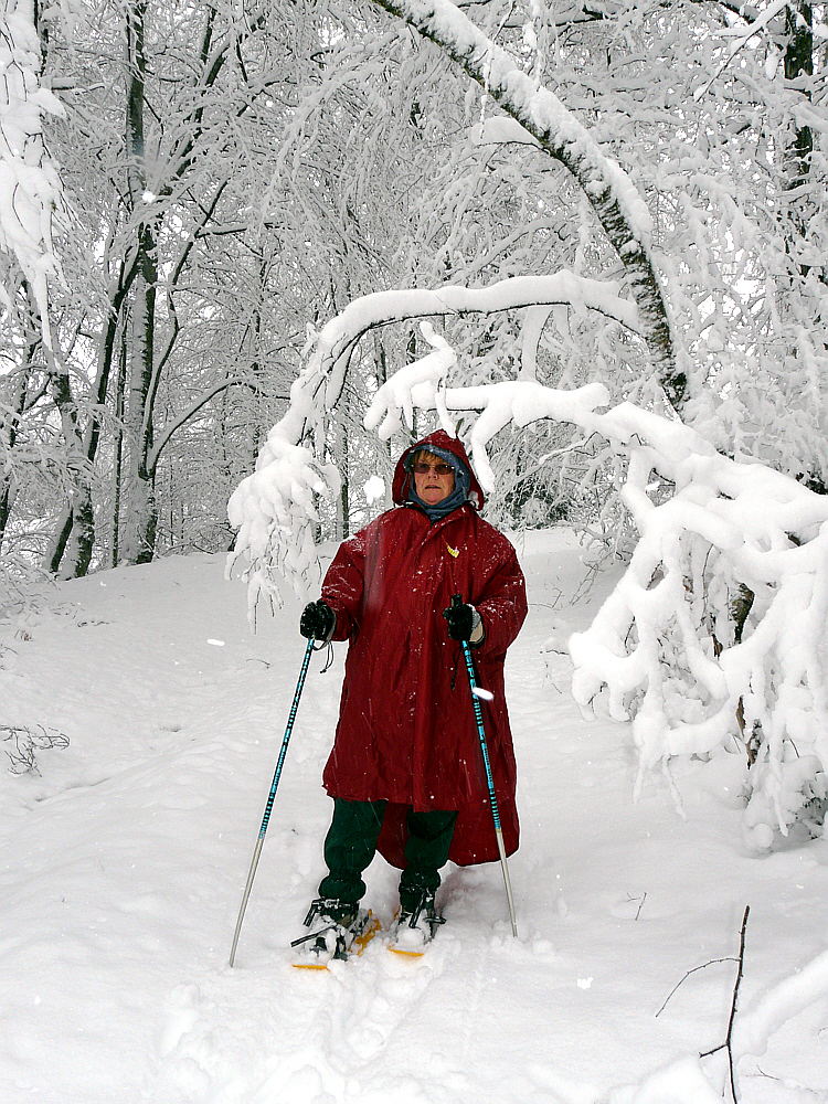 14 décembre 2008: l'assistante photographe - Route forestière de Picon - Milhas - 31