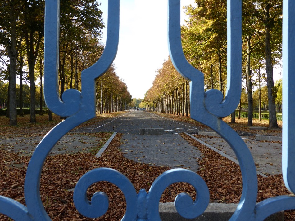 Le soleil m'accompagne au Parc de la Hotoie