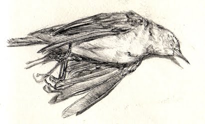 En attendant le beau temps !