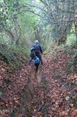 La randonnée du 17 novembre à Hermival-les-Vaux