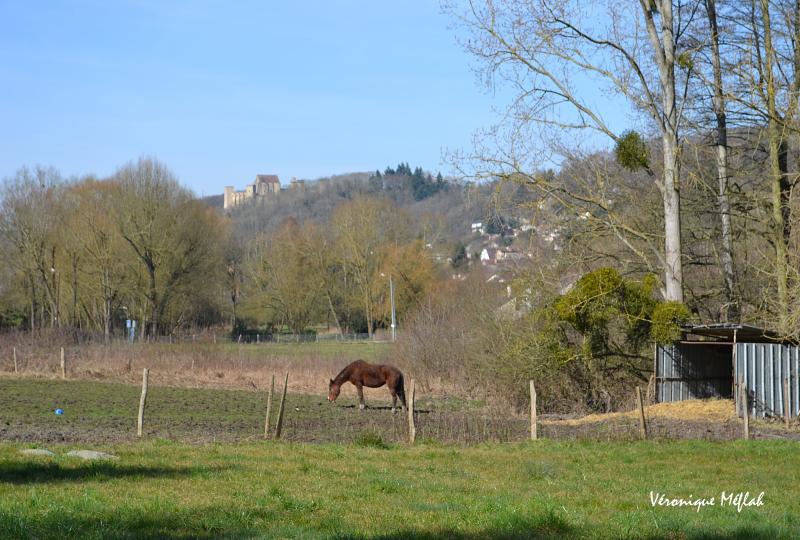 Parc naturel régional de la Vallée de Chevreuse : Le meilleur ami de l'homme 2