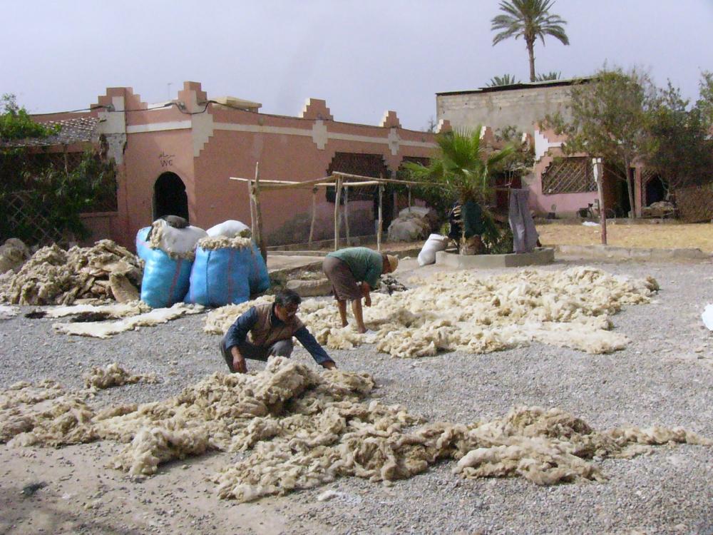 Taroudant 