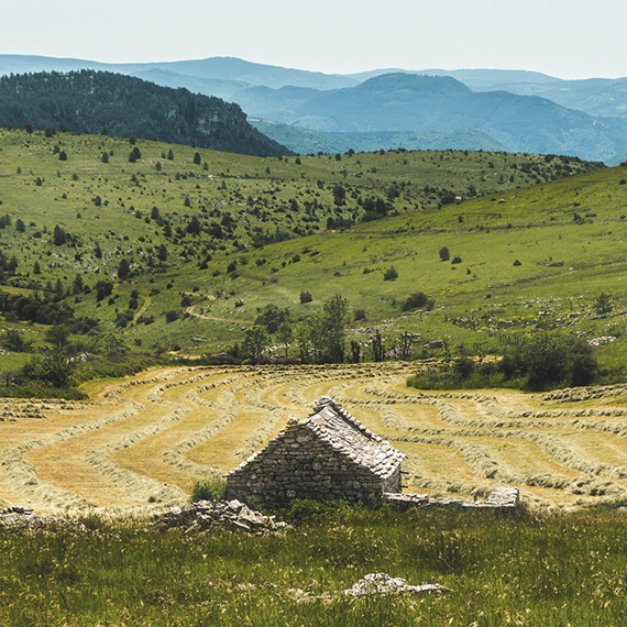 Département de la Lozère