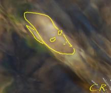 Photos exceptionnelles d'Emanants : Les visages humains